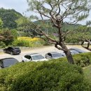 도곡골프랜드 이미지