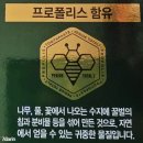 ㈜진덴탈 | 페리오 토탈 7