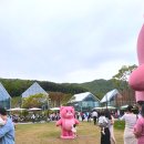 핑크벨리 이미지