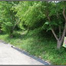 개도 사람길 이미지