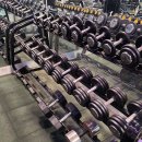 픽스바디짐 신월점 이미지