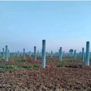 이송태양광발전소 이미지