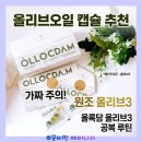 한들약국 | 올리브오일 올록담 캡슐 추천 올리브3 공복 섭취 솔직후기 (가짜 구별법)