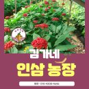 상권농장 이미지