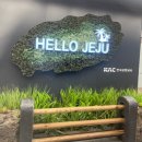 🏝️제주도🏝️ 2박3일 태교여행 ┃ 28주 임산부/제주항공/ 태풍을 곁들인..☔☔☔