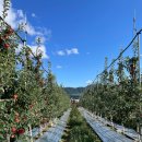 양구농장 이미지