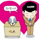펫플 이미지