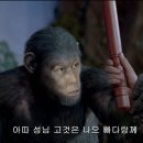호성 이미지