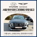 현대자동차그린써비스 | 서울 투싼 NX4 파인그린매트 무광 출고 했어요 (실사진 포함)
