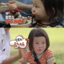 신우푸드 스포츠경향