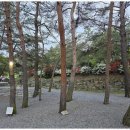 계곡과소나무 캠핑장 이미지