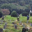 공설공원묘지 이미지