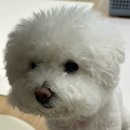 와와동물병원 이미지