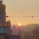 시흥 배곧 오션뷰 일출보기 좋은 24시 무인카페 그때소리지른사람은접니다 (feat. 새해인사)