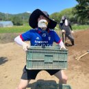 항사리 마을회관 | [봉사활동] 가평군 수해 지역 &#39;수해복구&#39; 봉사 후기(수원의 열두번째)