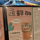 애완선인장 이미지