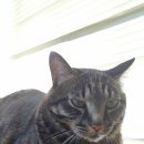 멍, 타임 이미지