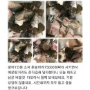 매운탕거리 이미지