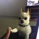 영천강로 119번길 이미지