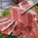 준참치 이미지