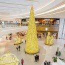 스타부동산중개사무소 이미지