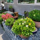 지에스25 모현오뜨락점 이미지