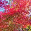 이곡리경로당 이미지