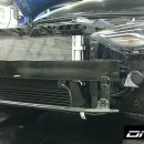 DNS 모터스 이미지