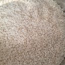 인터넷 활용 블로그 만들기 | 방앗간에서 쌀가루 빻아오기 | 쌀 씻는 법 불리는 시간 | 쌀가루 보관법 &amp; 활용법