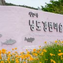 고흥 거금락 한옥펜션 이미지