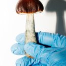 my drink museum 이미지