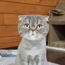 대림정형외과의원 이미지