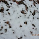 산장목장 이미지