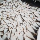 빅토리9
