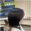 5262 | 대전 둔산동 미용실 로이드밤 둔산점 레이어드컷 만족 후기