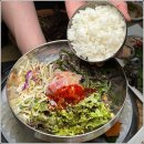 싱싱회수산 이미지