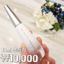 퓨어도매