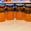 영덕군 농업기술센터 이미지