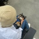 잭잭 이미지