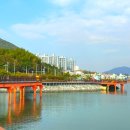 동동다리 이미지