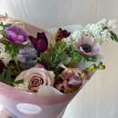 보태니컬 플랜(Botanical Plan) 이미지