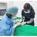 부평탑치과의원 이미지