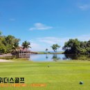 그링그린디자인 네이버블로그