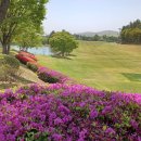 유신여행사 | 경북골프장 경주CC 1박2일골프패키지 정보 라운딩 후기