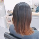 헤어스텔라 이미지
