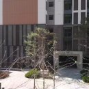 평촌자이아이파크3문 이미지
