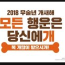 국제오토바이 이미지