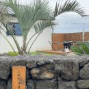 스테이 안셈 이미지