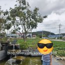 상마리어탕국수 이미지