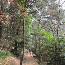 문텐 | 문텐로드 부산 바다보며 겨울에도 걷기좋은 둘레길